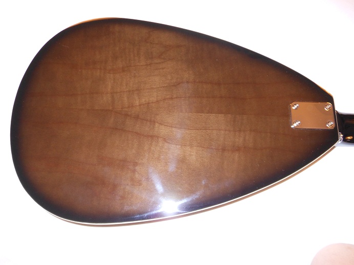 Teardrop Hollow Body 12 String Picture 9